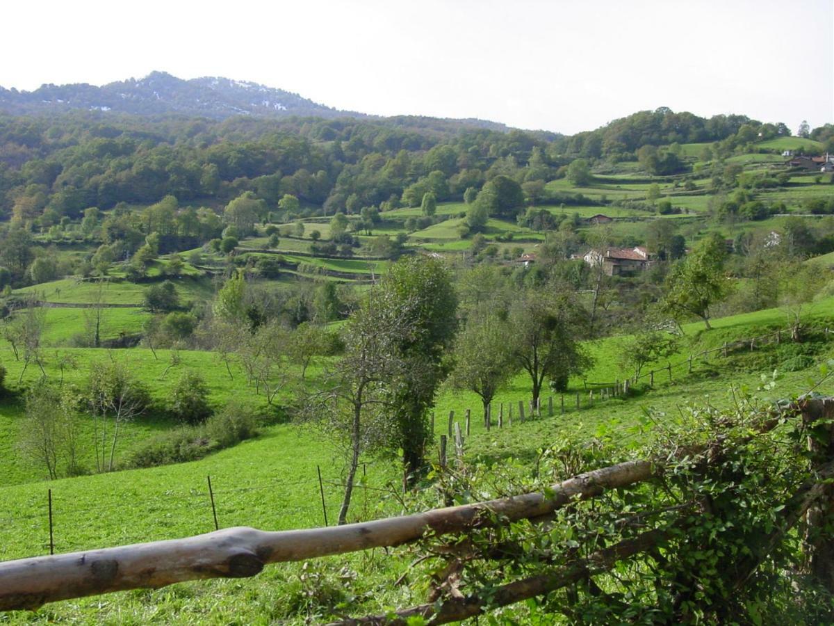 Гостевой дом Coviellador Cangas De Onis Экстерьер фото